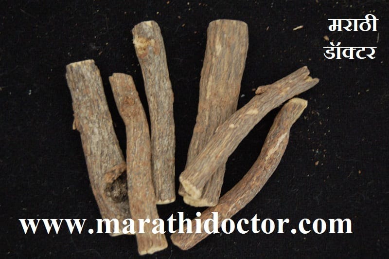 mulethi benefits, jeshthamadh, mulethi in english, mulethi in marathi, mulethi meaning in marathi, mulethi tree, licorice in marathi, mulethi images, mulethi powder in marathi, yashtimadhu plant, jeshthamadh benefits, licorice root in marathi, mulethi powder meaning in marathi, jeshthamadh in marathi, jeshthamadh che fayde, jest madh in marathi, ज्येष्ठमध माहिती, ज्येष्ठमध खाण्याचे फायदे, जेष्ठमधाचे फायदे, ज्येष्ठमध चूर्ण, ज्येष्ठमध उपयोग, ज्येष्ठमध म्हणजे काय ?, ज्येष्ठमध वनस्पती बद्दल माहिती, मुलेठी मराठी अर्थ, मुलेठी मराठी नाव,